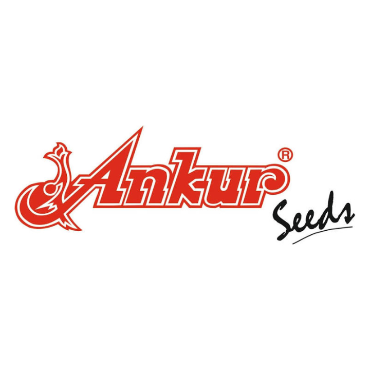 Ankur Seeds