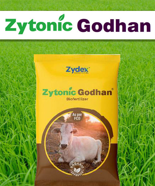Zytonic Godhan